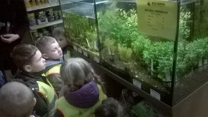 Created with Nokia Smart Cam