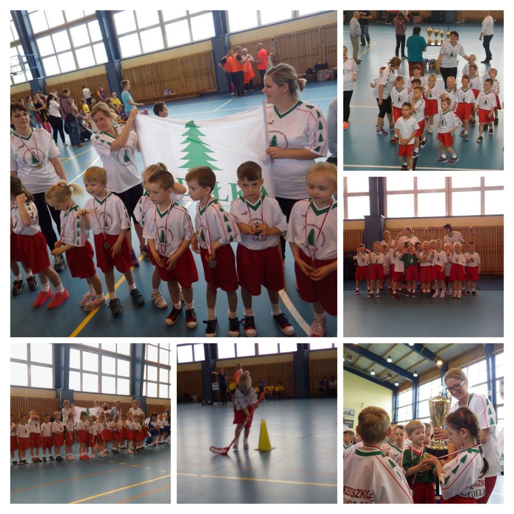 20160521_114352-COLLAGE