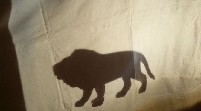 Tygryski w teatrze cieni