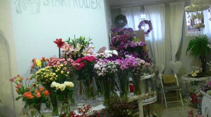 Tygryski w kwiaciarni