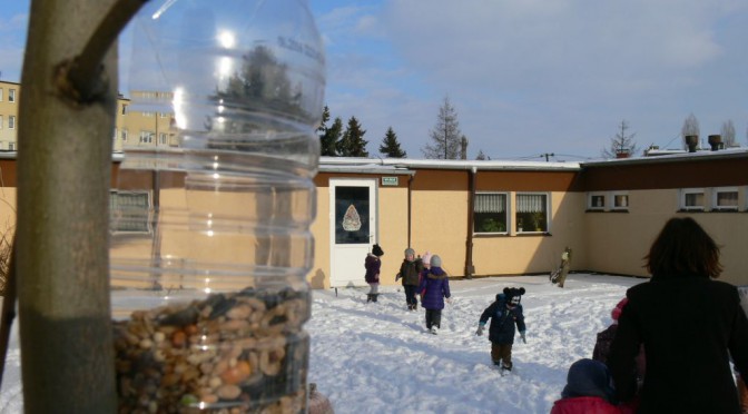 Biedronki dokarmiają ptaki