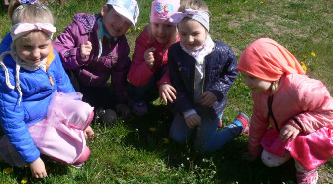 Krasnale dokonują pomiarów