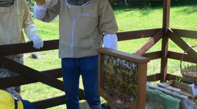 Co robią pszczoły w ulu?