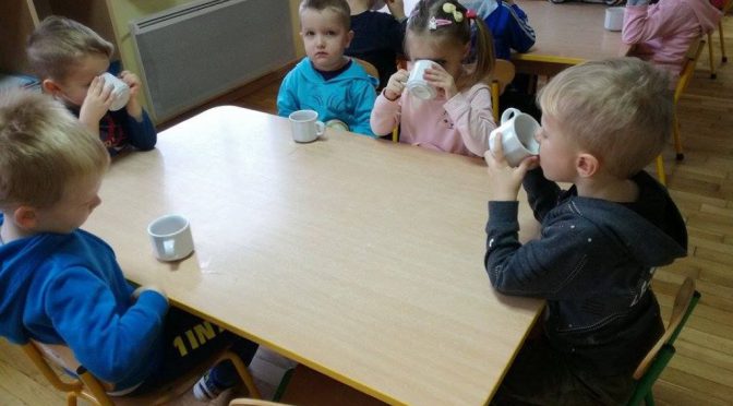 Herbaciane Biedronki