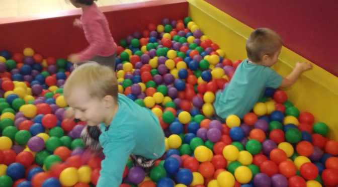 Biedronki w Honolulu