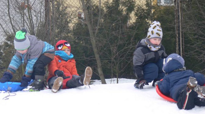 Tygryski brykają na śniegu