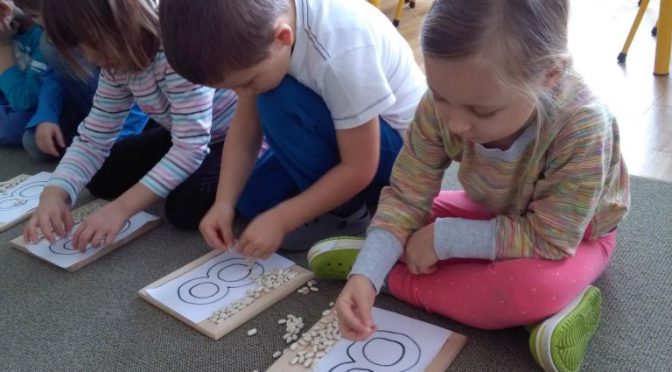 Sówki poznają ósemkę