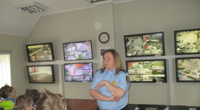 Sówki w Straży Miejskiej