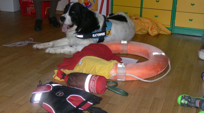 Pies – Ratownik w Jodełce