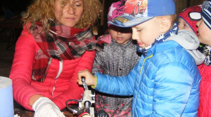 Biedronki i Tygryski w Jabłoniowym Dworku