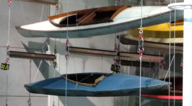 Kangurki – podróże małe i duże