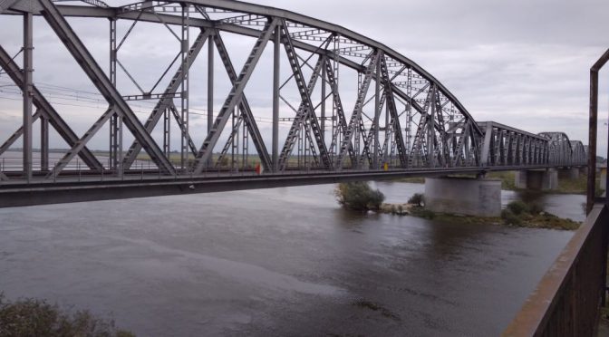 Kangurki na tczewskim moście