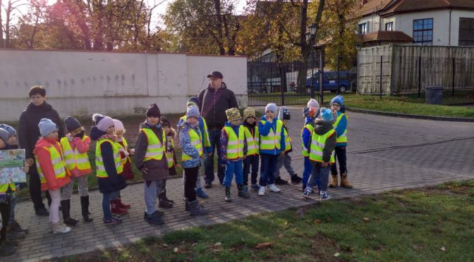 Kangurki zwiedzają Tczew