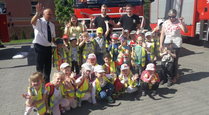 Misie gaszą pożary :-)