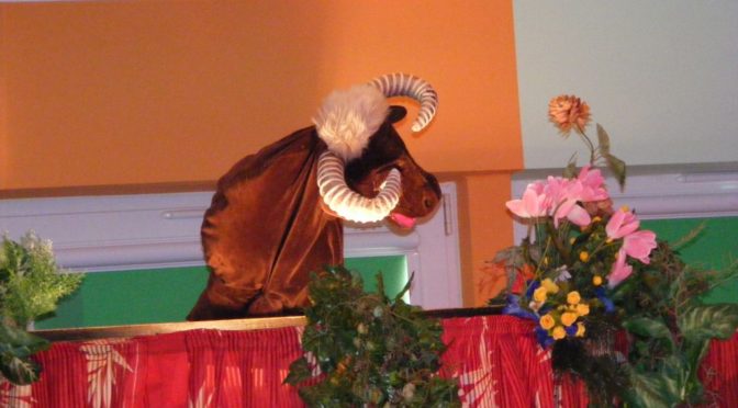 Koperek i Kminek – to lekarstwo..