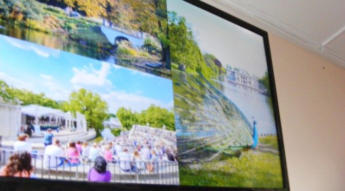 Tygryski poznają Mazowsze