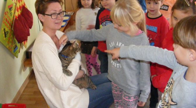 Mruczek u Kangurków