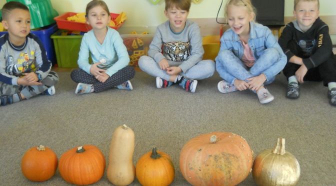 Kangurki i jesienne przygody