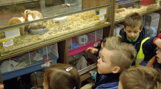 Tygryski w ZOO… Karina