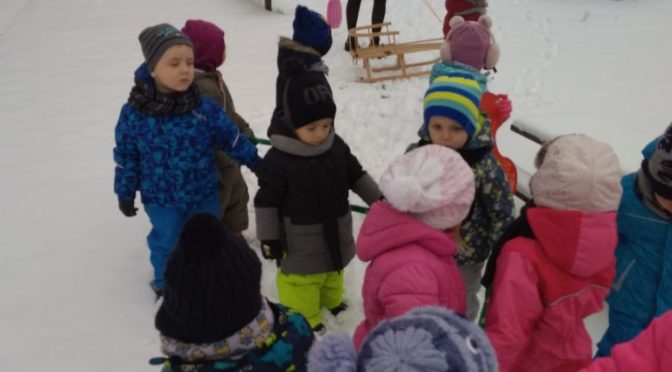 Kotki buszują w śniegu