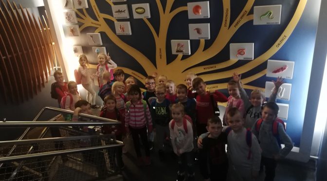 Tygryski i Kangurki w Akwarium Gdyńskim