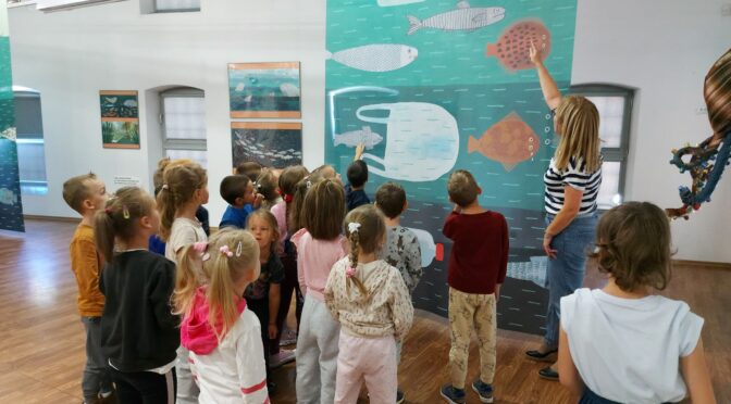 Sówki w Fabryce Sztuk