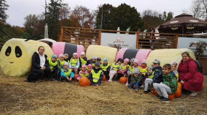 Wycieczka do Costerina Park