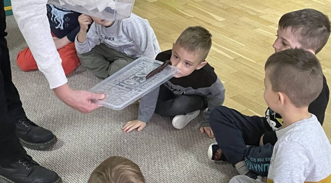 Egzotyczne zwierzaki