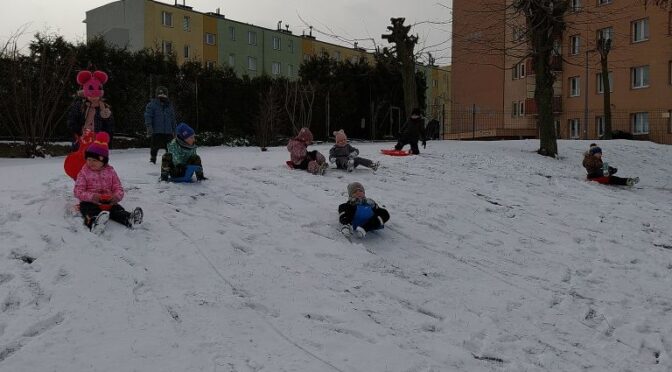 Tygryski brykają w śniegu