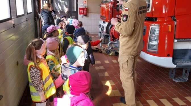 Tygryski w Straży Pożarnej