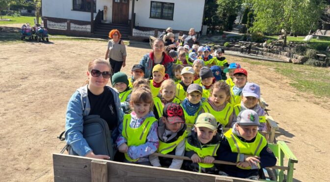 Kotki i Biedronki w Rajskich Łąkach